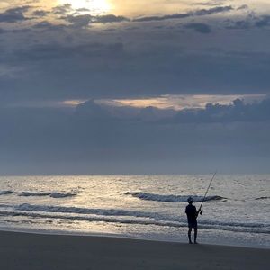 Meet your Posher, Davis